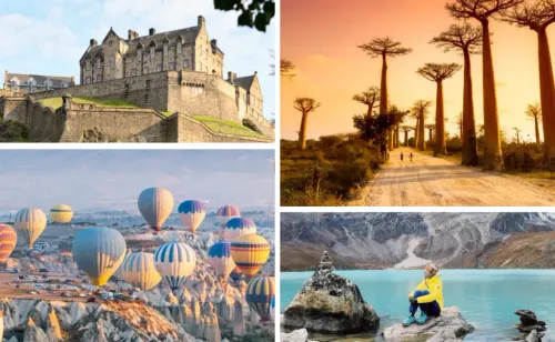 Tour & Travels